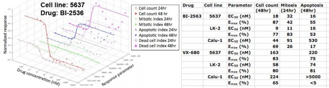 Signatures Of Drug Response Signatures Of Drug Response