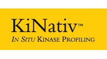 KiNativ